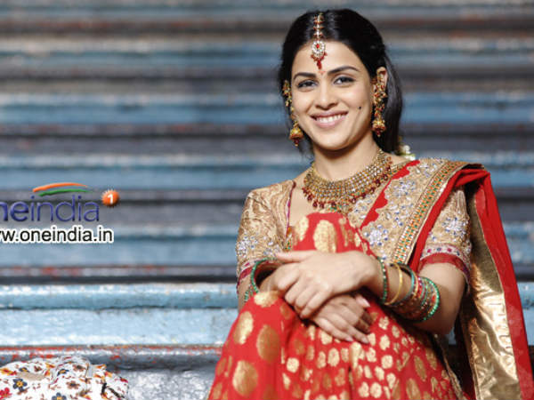 ತೆಲುಗು, ತಮಿಳು ಸಿನ್ಮಾ ಒಪ್ಪಿಕೊಂಡಿಲ್ಲ