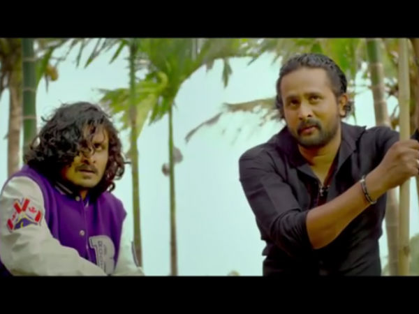 ಎಲ್ಲಾ ನಾಯಿಗಳಿಗೂ ಒಂದೇ ತರಹ ಅಲ್ಲ