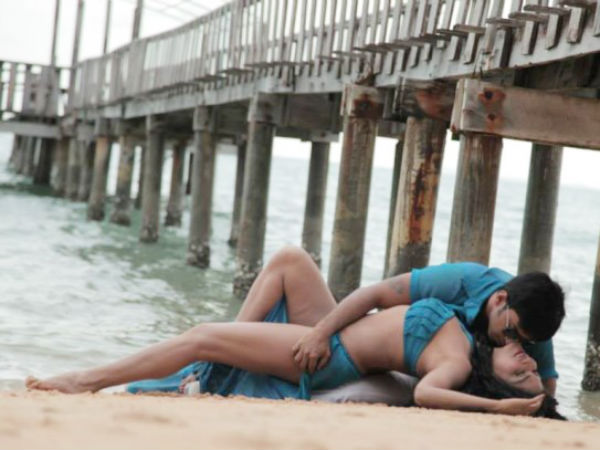 ಲೈಂಗಿಕ ಕಾರ್ಯಕರ್ತೆಯಾಗಿ ವೀಣಾ ಮಲಿಕ್