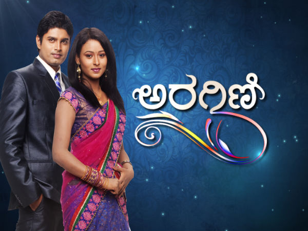 ಪ್ರೀತಿ, ದ್ವೇಷಗಳ ಸುತ್ತ ಹೆಣೆದಿರುವ ಕಥೆ ಅರಗಿಣಿ