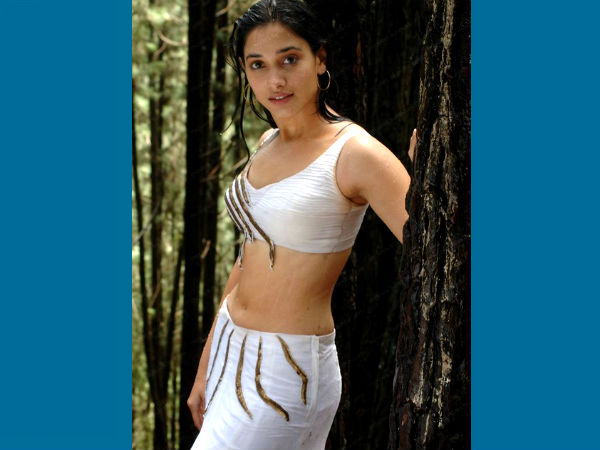 ರಚ್ಚಾ ಬ್ಯೂಟಿ ತಮನ್ನಾ