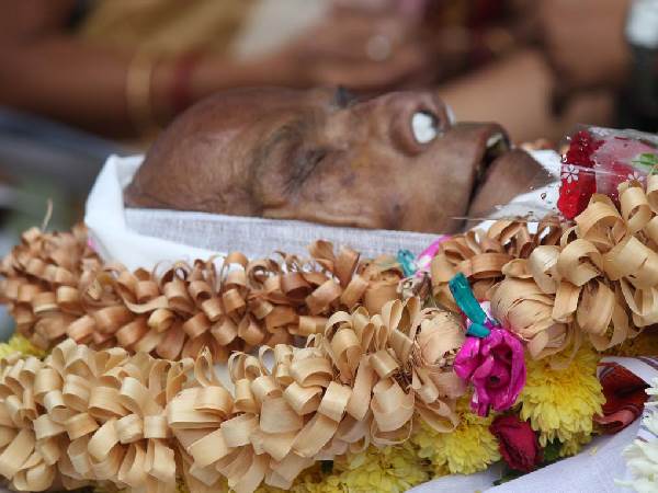 ಅಂತಿಮ ಯಾತ್ರೆ ಚಿತ್ರಗಳು