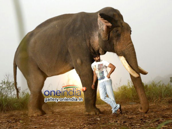 ಹಲವು ಮೊದಲುಗಳ ಸಂಗಮ