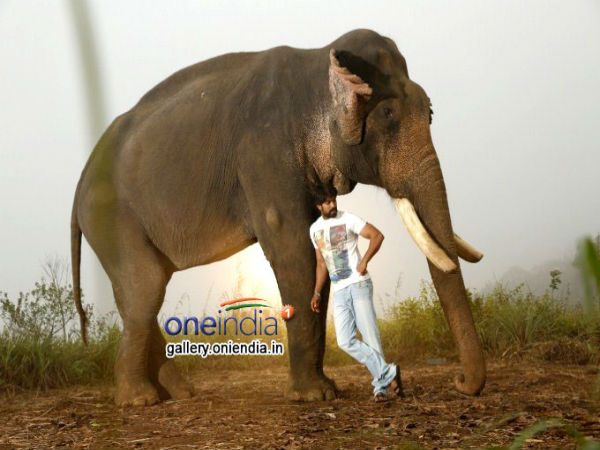 ಗಜಕೇಶರಿ