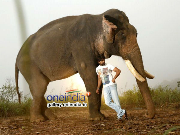 ನಮ್ಮ ನಮ್ಮಲಿ ತಂದಿಡಬೇಡಿ