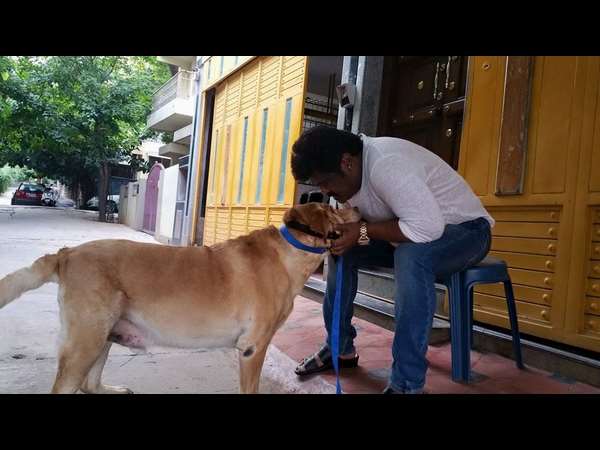 ಒಡೆಯನ ಅಪ್ಪುಗೆ