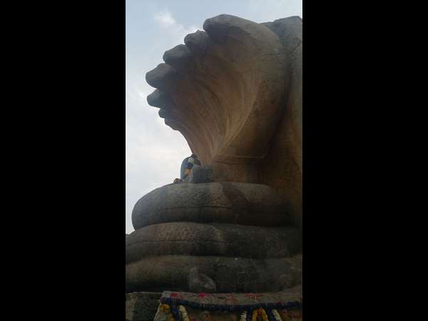 ಲೇಪಾಕ್ಷಿ ಉತ್ಸವದಲ್ಲಿ ಭಾಗಿಯಾಗಿದ್ದರು!