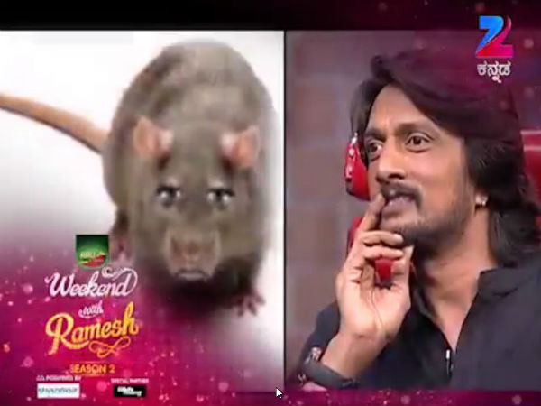 ಇಲಿ ಜೊತೆ ಫ್ರೆಂಡ್ ಶಿಪ್