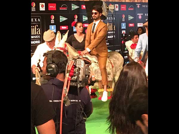 ಐಫಾ ಪ್ರಶಸ್ತಿ 2016 ಪ್ರಶಸ್ತಿ ಪ್ರದಾನ ಸಮಾರಂಭದಲ್ಲಿ ಬಾಲಿವುಡ್ ದಿಗ್ಗಜರ ಸಮ್ಮಿಲನ