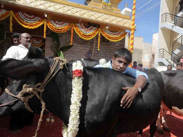 ಯಾವಾಗ ರಿಲೀಸ್?