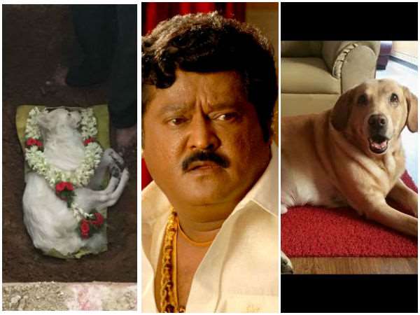 ಅರ್ಜುನ್-ಸೂರಜ್ ಬರಿ ನೆನಪು ಮಾತ್ರ