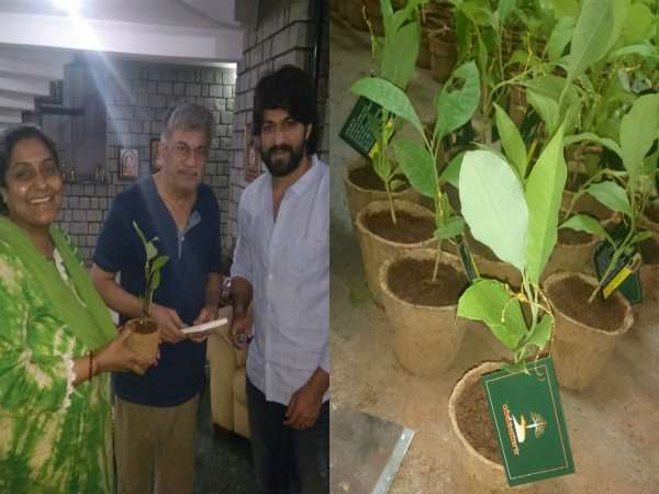 ಸಂಪಿಗೆ ಸಸಿ ಕೂಡ ಕೊಡ್ತಿದ್ದಾರೆ.!