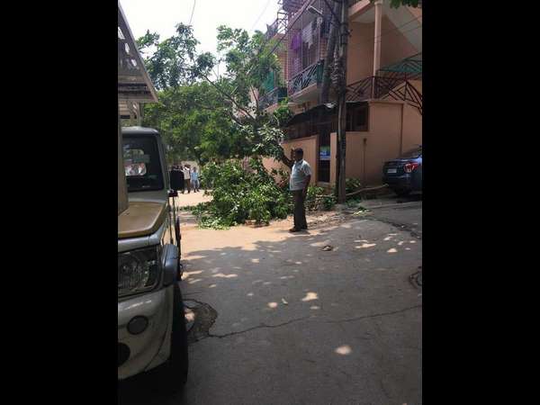 ಮರ ಕಡಿದವರು ರಾಕ್ಷಸರು
