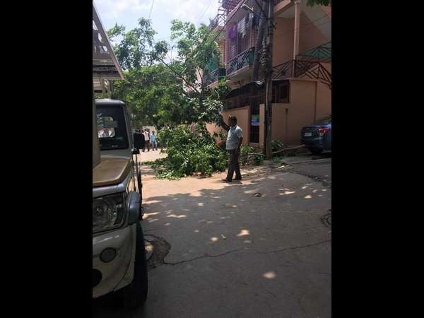 ಮರ ಕಡಿದಿರುವುದಕ್ಕೆ ತಂದೆ ಕಳೆದುಕೊಂಡಷ್ಟೇ ನೊಂದ ಜಗ್ಗೇಶ್