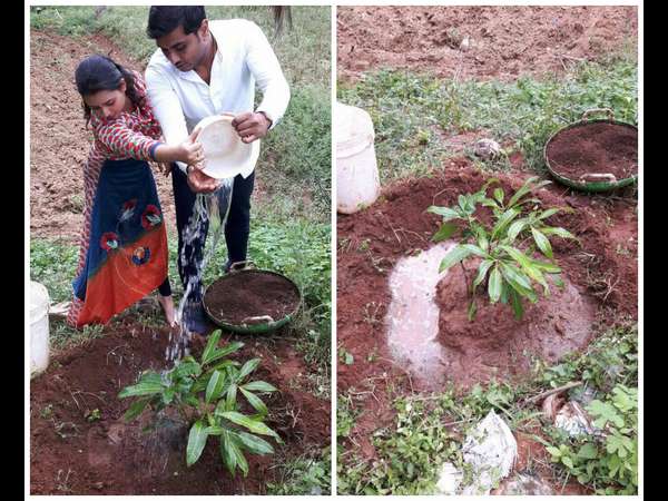 ಗ್ರೋ ಗ್ರೀನ್