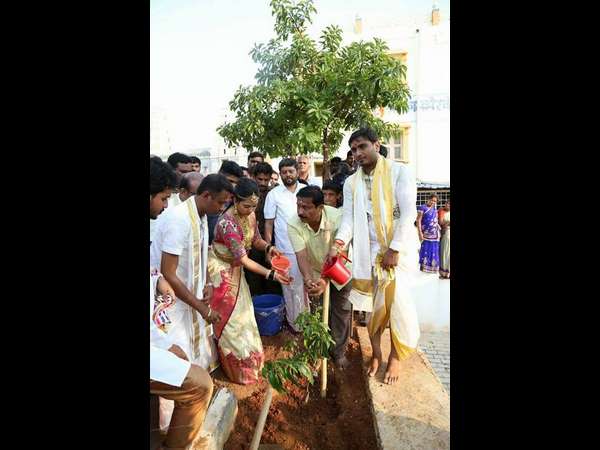 ಮದುವೆ ದಿನವೂ ಸಸಿ ನೆಟ್ಟಿದ್ದ ಜೋಡಿ