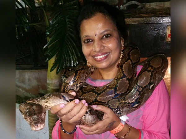 ಹೆಬ್ಬಾವನ್ನು ಕತ್ತಿಗೆ ಸುತ್ತಿಕೊಳ್ಳವುದು ಕನಸಾಗಿತ್ತಂತೆ