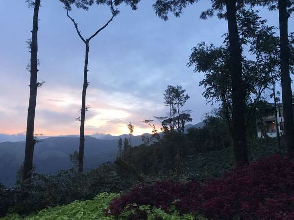 ಮುಂಜಾನೆ ಮಂಜು