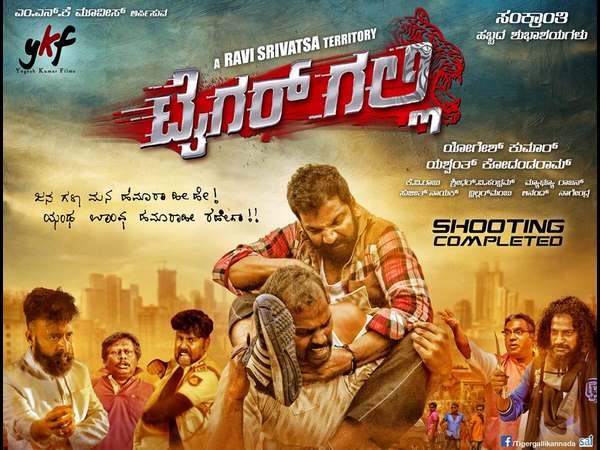 'ಟೈಗರ್ ಗಲ್ಲಿ'ಯಲ್ಲಿ ಏನಿದೆ?