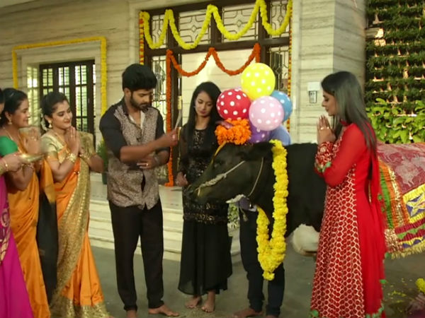 ಜೀ ವಾಹಿನಿಯಿಂದ ಸುಗ್ಗಿ ಸಂಭ್ರಮ
