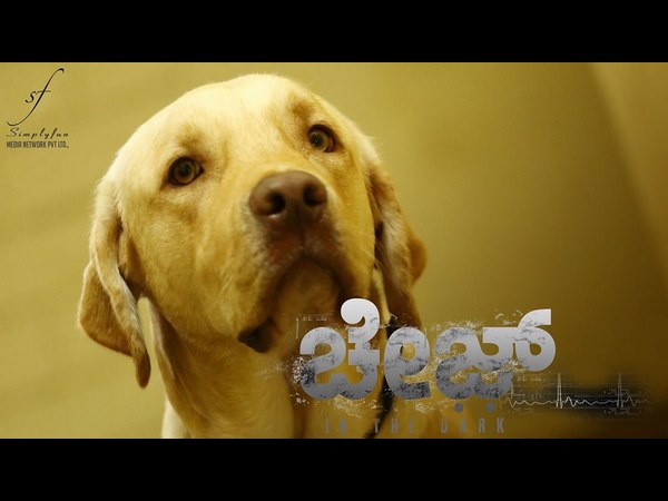 ಚೇಸ್ ಚಿತ್ರದಲ್ಲಿ ಮ್ಯಾಕ್ಸ್ ಅಭಿನಯ