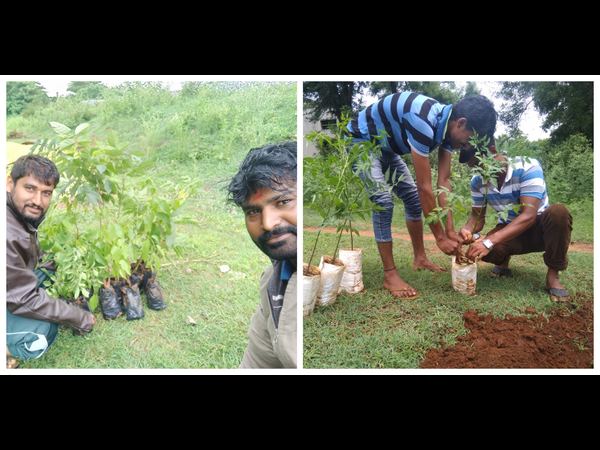 ಡಿ ಬಾಸ್ ಅಭಿಮಾನಿಗಳಿಂದ ಅರಣ್ಯ ರಕ್ಷಣೆ