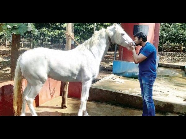 ಹಸಿರಿನಿಂದ ಕಂಗೊಳಿಸಲಿದೆ ದರ್ಶನ್ ಫಾರ್ಮ್ ಹೌಸ್