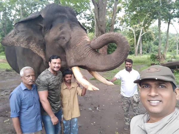 ಆನೆ ಕಂಡ ಸಂತಸಗೊಂಡ ಡಿ ಬಾಸ್