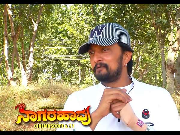 ನಾಗರಹಾವು ಅಂದ್ರೆ ಮಹಾನ್ ವ್ಯಕ್ತಿ