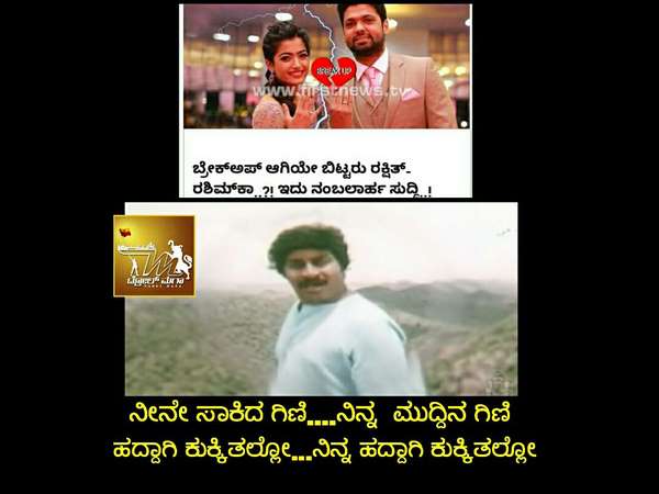 ನೀನೇ ಸಾಕಿದ ಗಿಣಿ