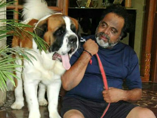 ಶ್ವಾನಗಳ ಜೊತೆಗೆ ಪ್ರತಿ ದಿನ ಆಟ