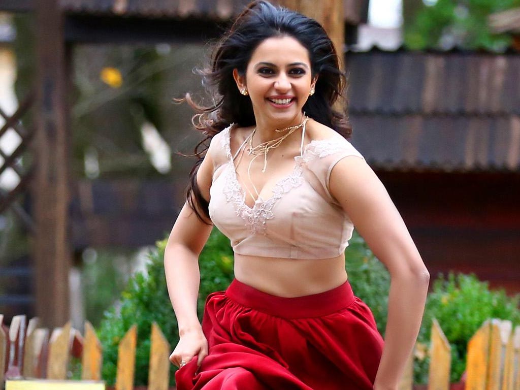 ದರ್ಶನ್ ಜೊತೆ ರೋಮ್ಯಾನ್ಸ್ ಮಾಡಲಿದ್ದಾರೆ ರಾಕುಲ್