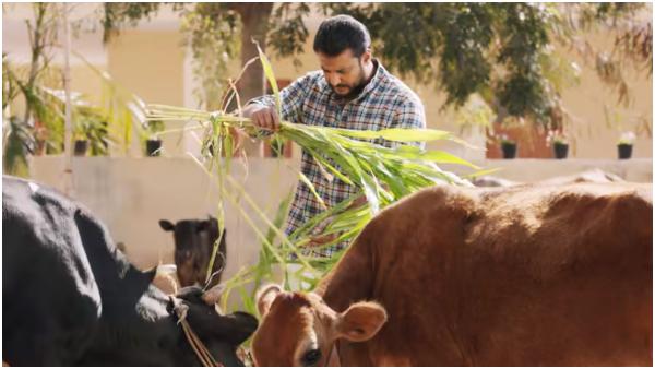 ಮತ್ತೆ ಹೊಡೆದಾಟಕ್ಕೆ ಇಳಿಯುವ ಗಜೇಂದ್ರ