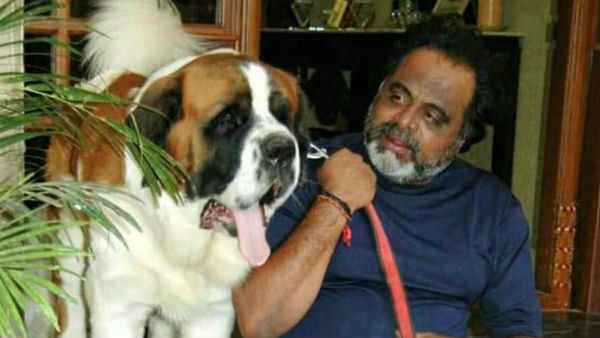 ಶ್ವಾನ ಪ್ರಿಯ ಅಂಬರೀಶ್
