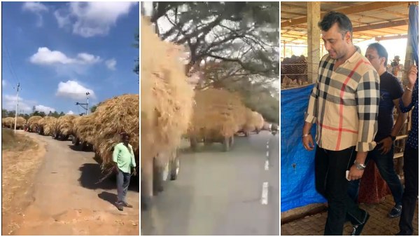 ಗೋಶಾಲೆಗೆ ದರ್ಶನ್ ಅನುದಾನ