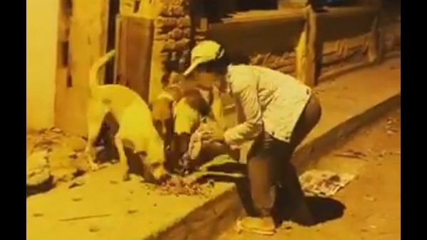 ಬೀದಿ ನಾಯಿಗಳ ಬಗ್ಗೆ ಐಂದ್ರಿತಾ ಕಾಳಜಿ
