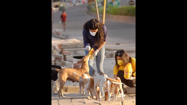 ಸಮಾನ ಮನಸ್ಕ ತಂಡ ರಚಿಸಿಕೊಂಡಿರುವ ಸಂಯುಕ್ತ