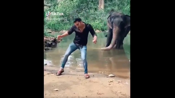 ಆನೆ ಜತೆ ಟಿಕ್ ಟಾಕ್ ವಿಡಿಯೋ