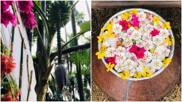 ಕಾಡಿನ ಹೂಗಳ ಘಮವಿತ್ತು