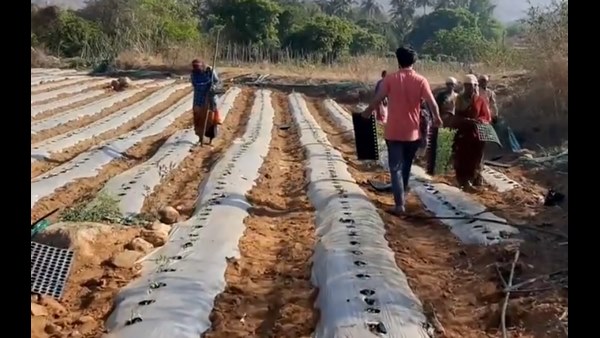 ಕುಟುಂಬಗಳಿಗೆ ಕೃಷಿ ಕೆಲಸ