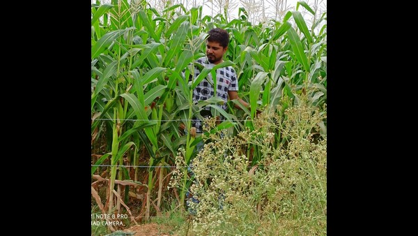 ಮದುವೆ ಆದ ಮೇಲೆ ಎಲ್ಲಿರುತ್ತಾರೆ ಪ್ರಥಮ್