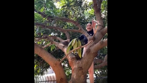 ಮಾವಿನ ಮರ ಹತ್ತಿದ ತುಪ್ಪದ ಹುಡುಗಿ ರಾಗಿಣಿ