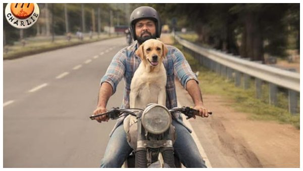 ಹಿಮ ಪ್ರದೇಶದಲ್ಲಿ ಚಿತ್ರೀಕರಣ ನಡೆಸಬೇಕಿದೆ