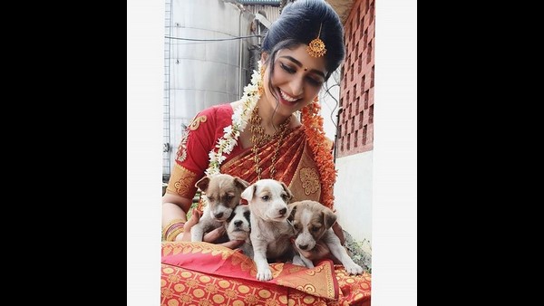 ಪ್ರಾಣಿಗಳ ವ್ಯಾಮೋಹ