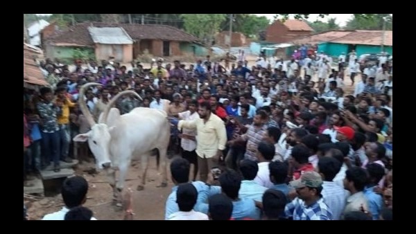 ವೈರಲ್ ಆಗಿದ್ದ ವಿಡಿಯೋ
