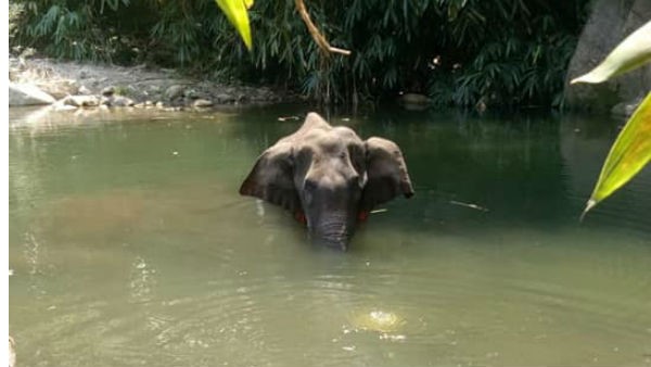 'ಭೂಮಿ ಮೇಲೆ ಬದುಕುವ ಹಕ್ಕು ಎಲ್ಲರಿಗೂ ಇದೆ'