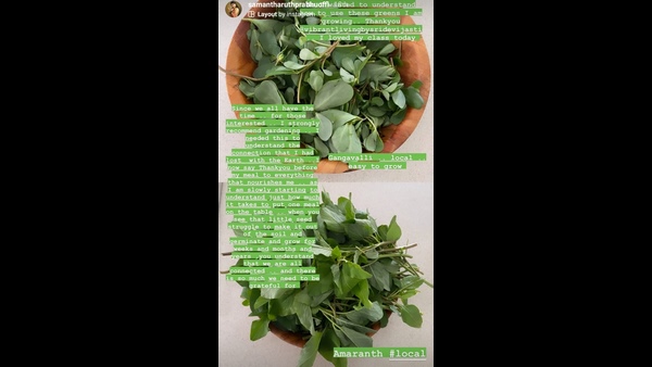 ಗಾರ್ಡನಿಂಗ್ ಮಾಡಿ