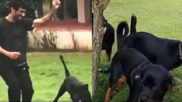 ಸುಶಾಂತ್ ಇಷ್ಟದ ಜಾಗ ಲೋನಾವಾಲಾದ ಫಾರ್ಮ್ ಹೌಸ್