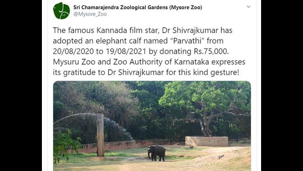 ಪಾರ್ವತಿ ಹೆಸರಿನ ಆನೆ ದತ್ತು ಪಡೆದಿದ್ದೀನಿ: ಶಿವಣ್ಣ
