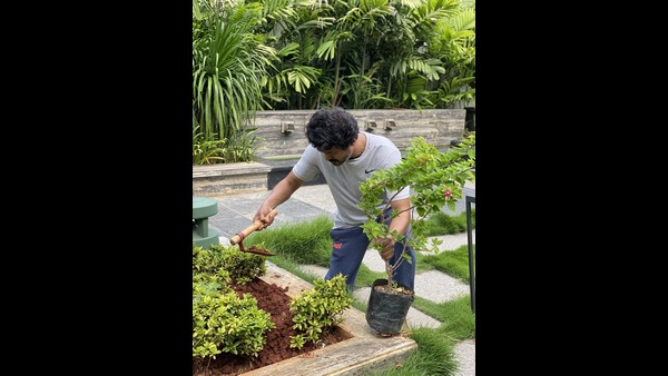 ಗ್ರೀನ್ ಇಂಡಿಯಾ ಅಭಿಯಾನದಲ್ಲಿ ಸ್ಟಾರ್ಸ್